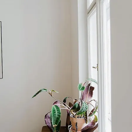 Stylish And Unique 2 Bedroom Flat With Balcony In Letna * 布拉格